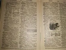 Dictionary