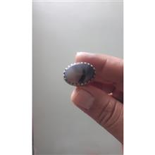 شجربسیارزیبا