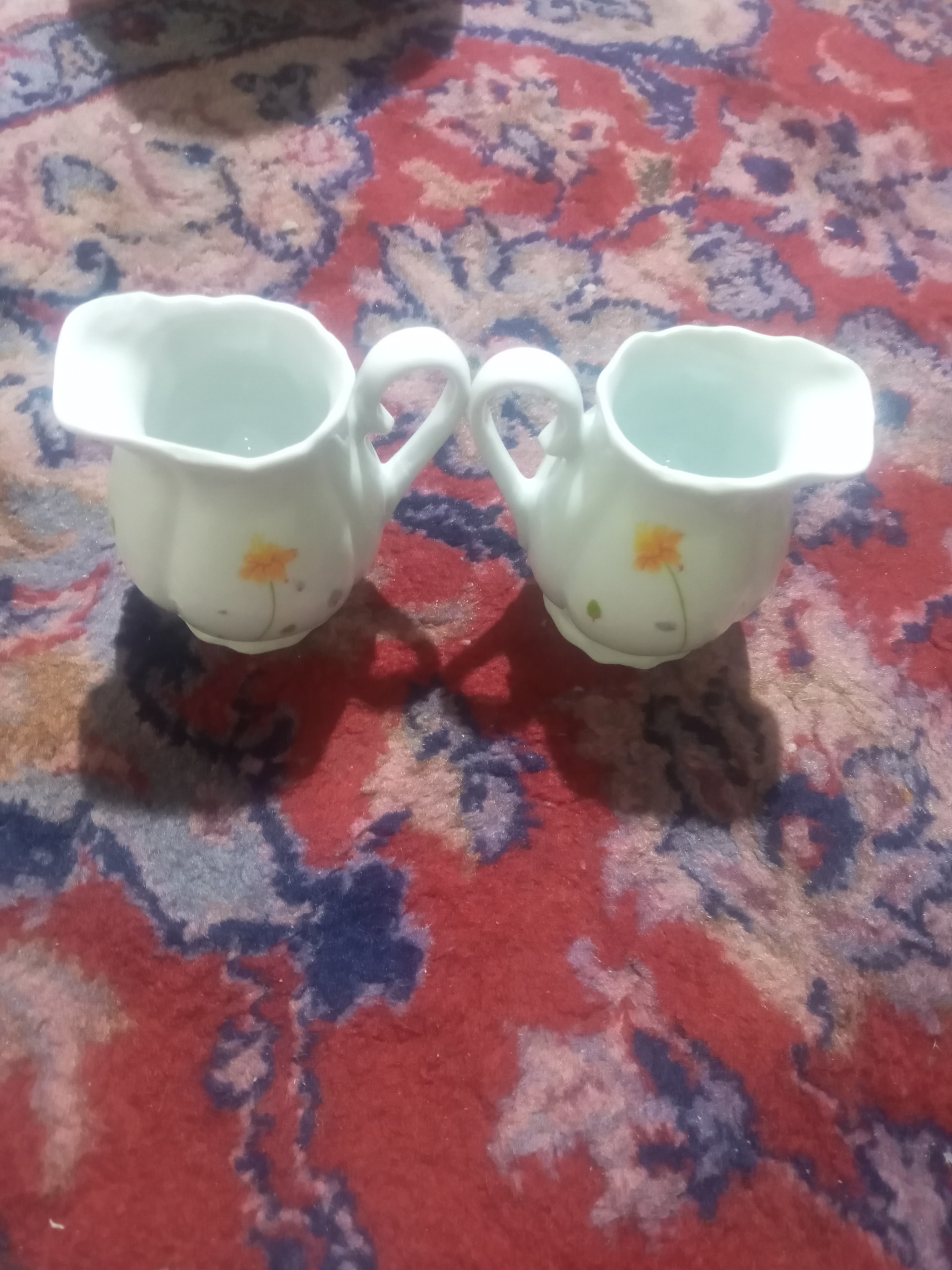 دو عدد جای سس