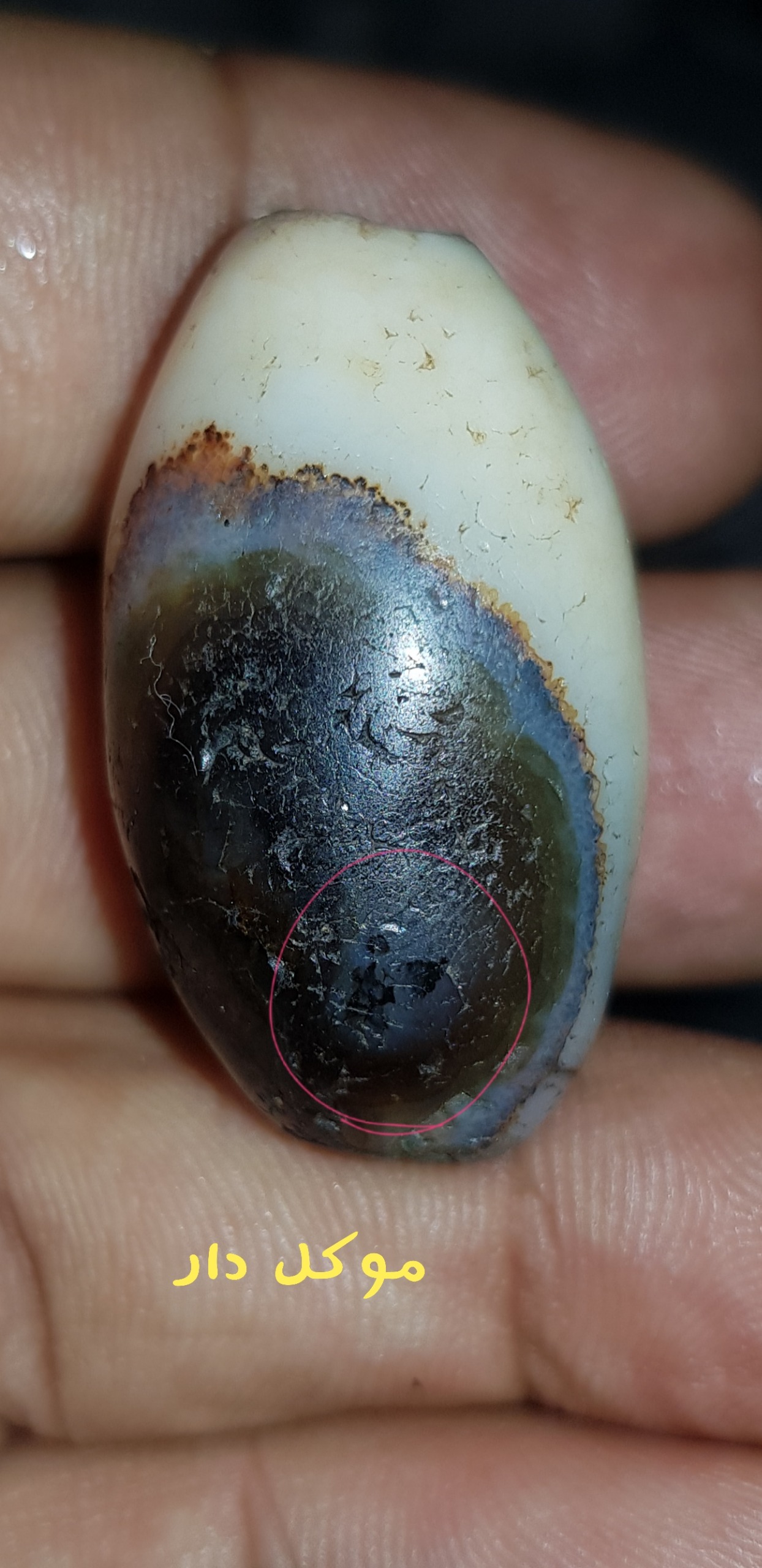 سلیمانی خاص گبری دار (باید فعال بشه)