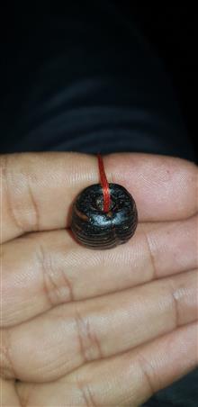 مهره