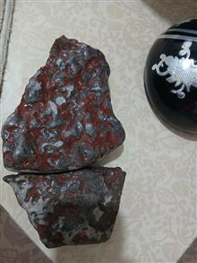 فسیل