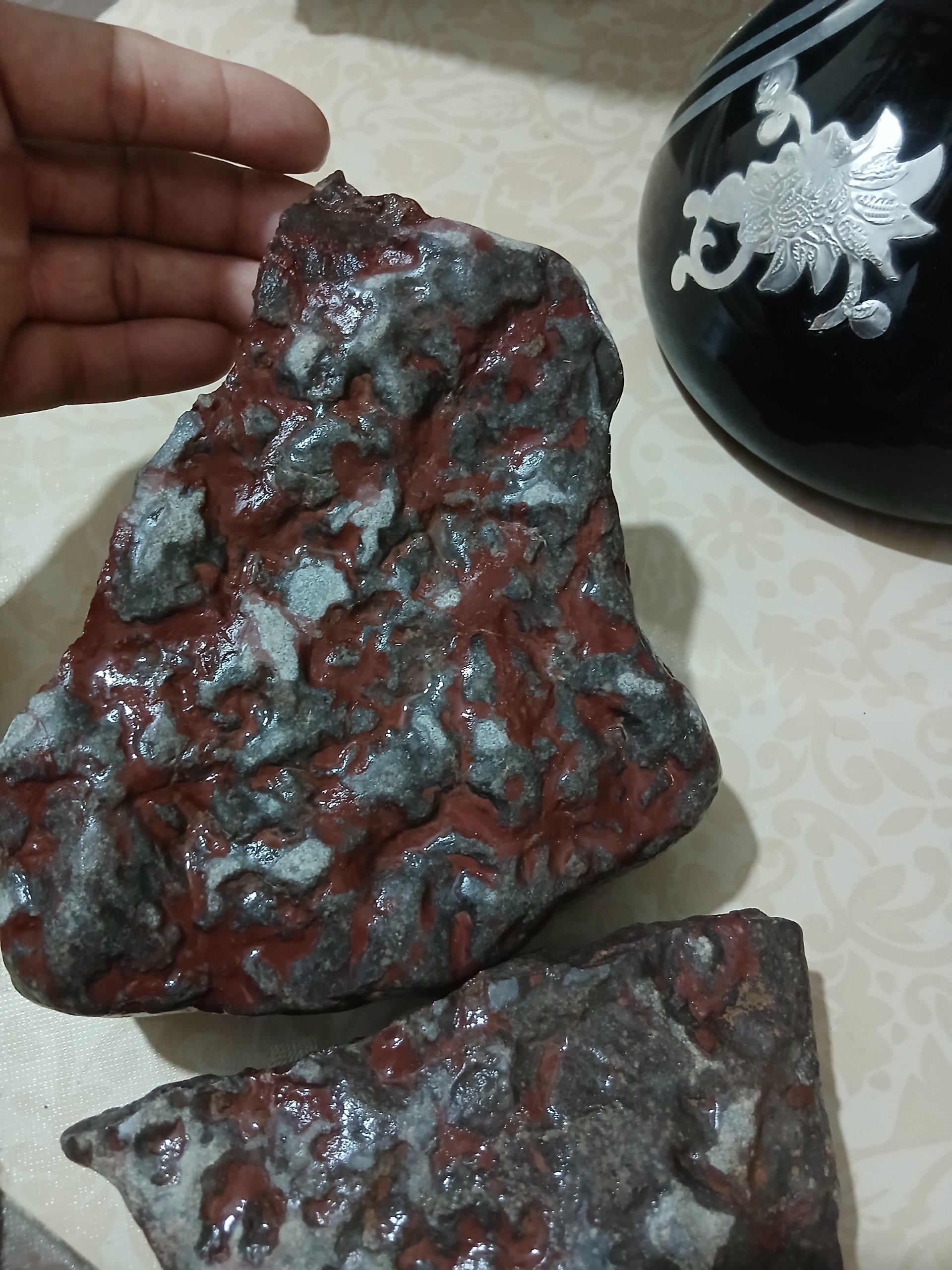 فسیل زیبای یکتا