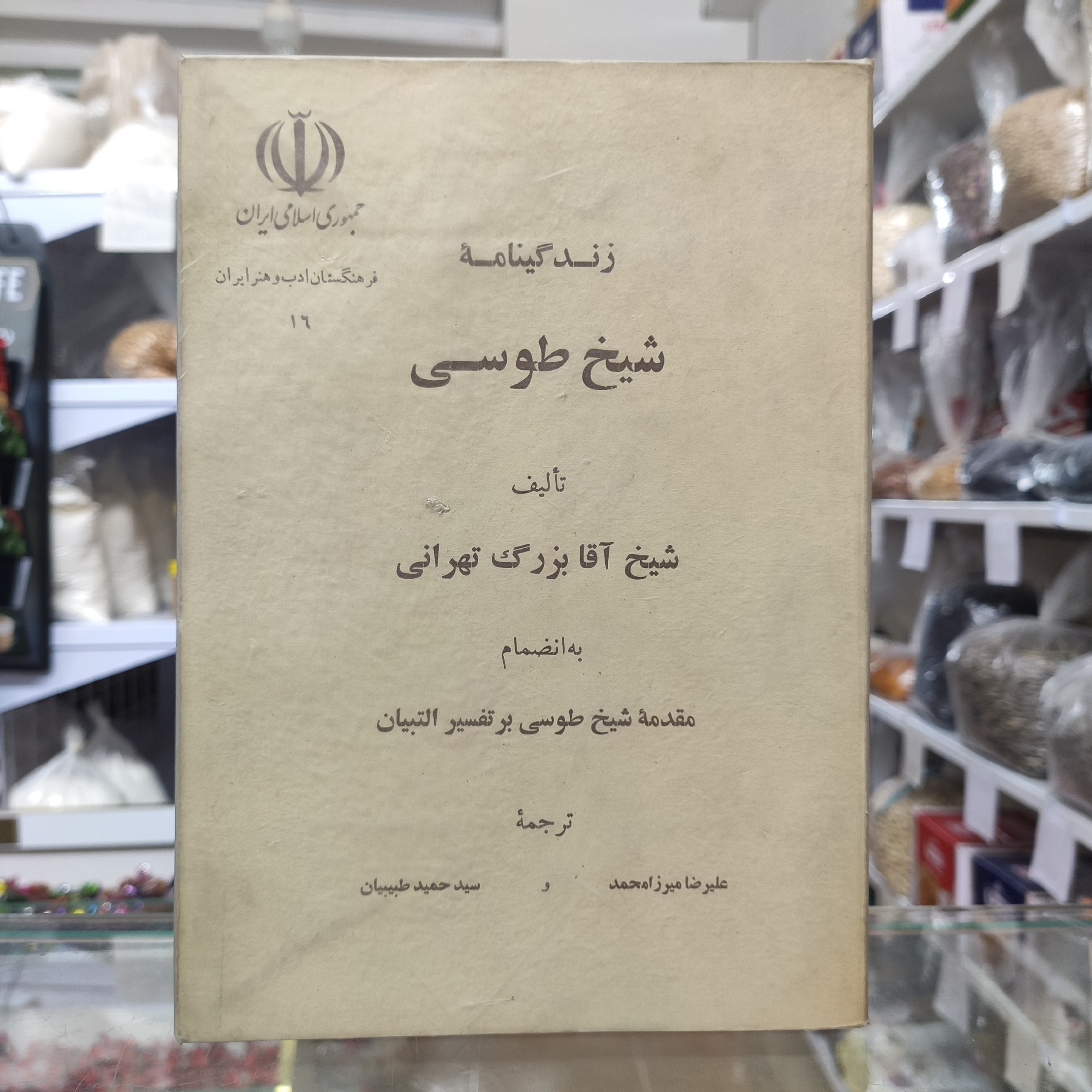 زندگینامه شیخ طوسی شیخ آقا بزرگ تهرانی، میرزامحمد