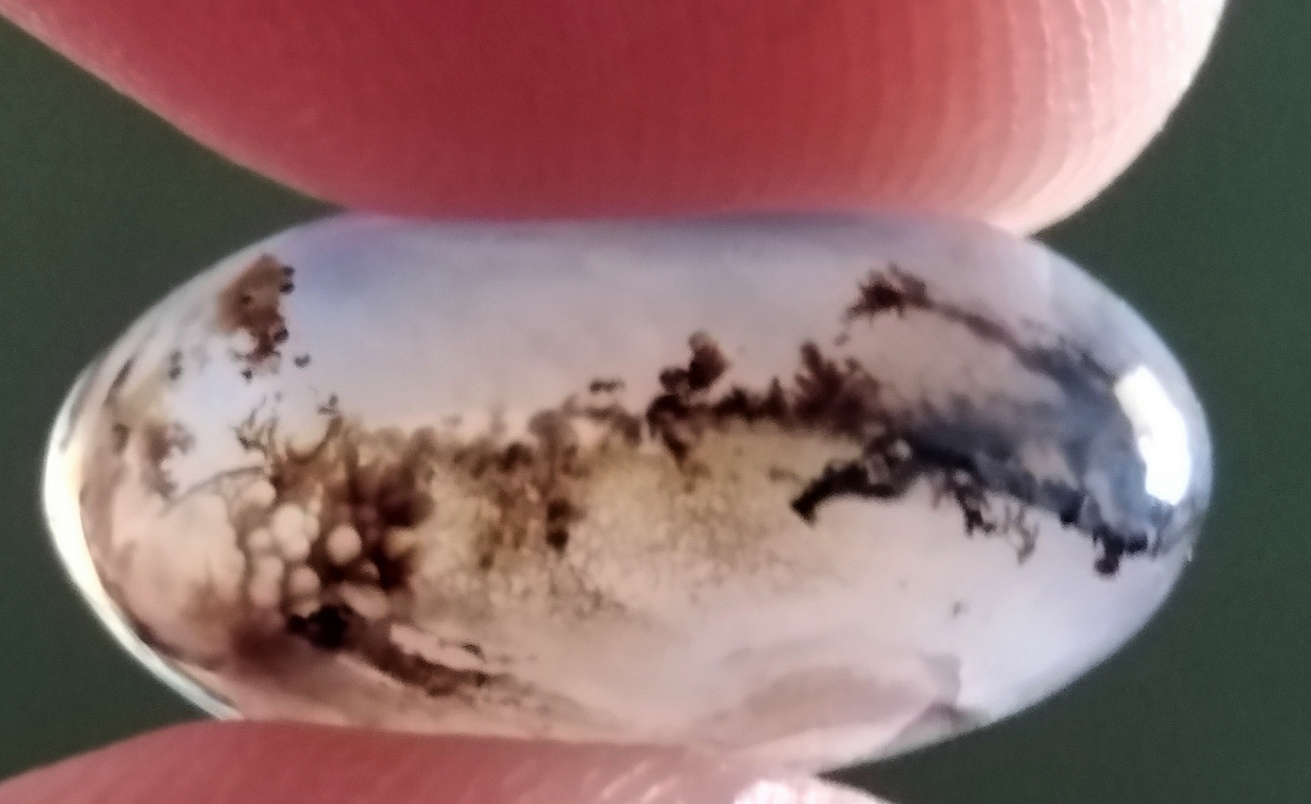 شجر طبیعی قائنات مصور نام مبارک حسن