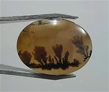 حراجی