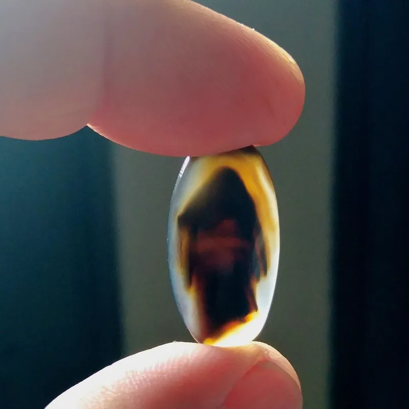 شجر مصور کلکسیونی