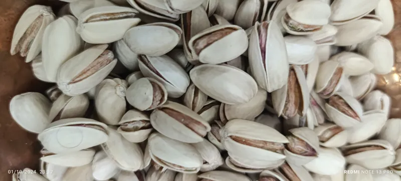 پسته اکبری و احمد اقایی