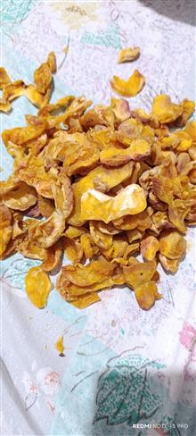 برگه
