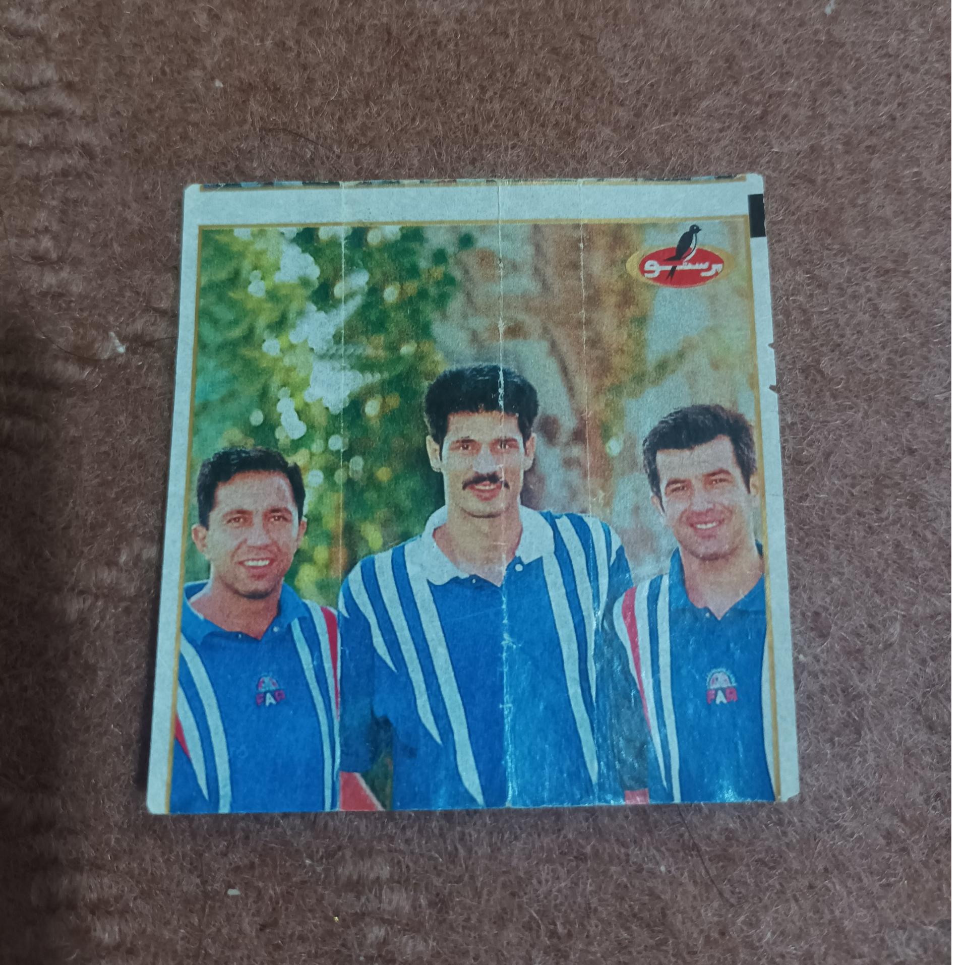 عکس پرستو نوار طلایی