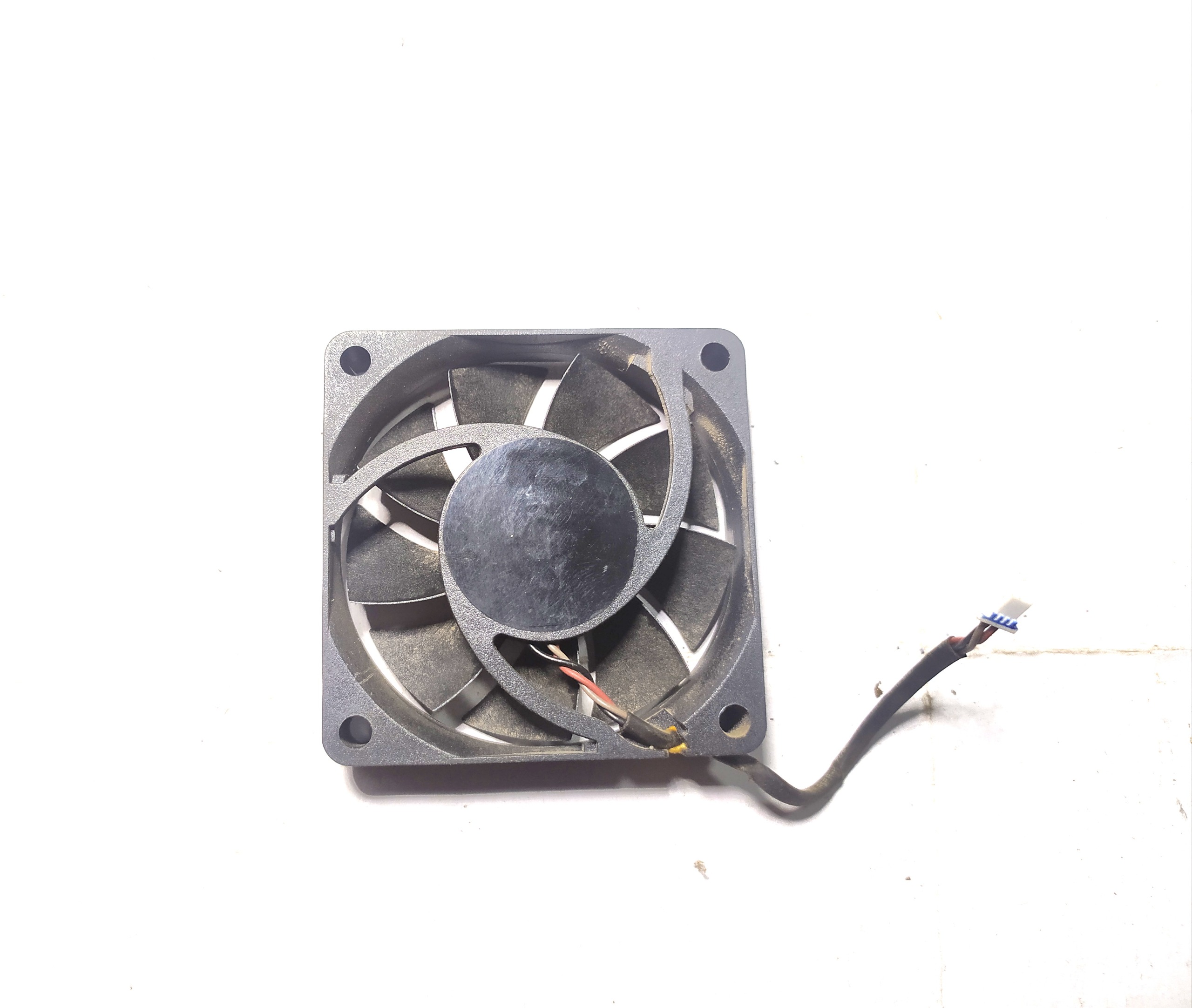 فن براشلس adda