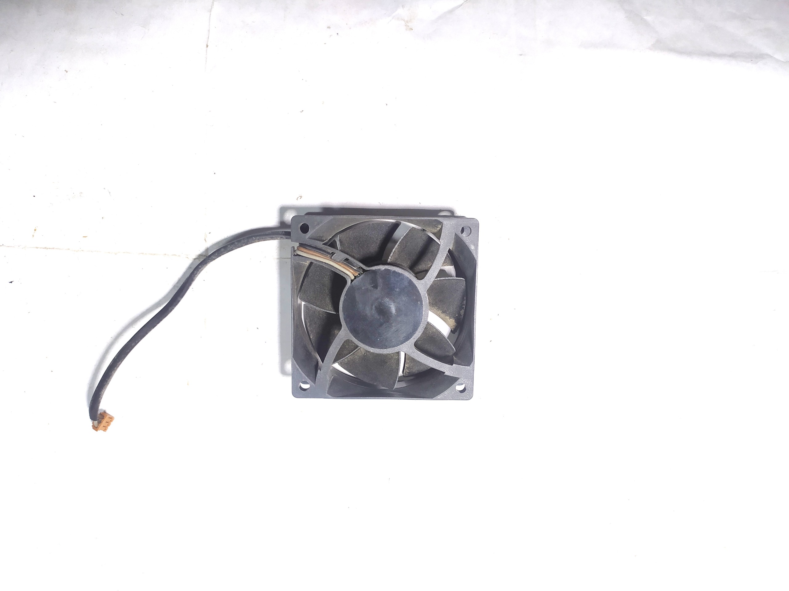 فن براشلس adda