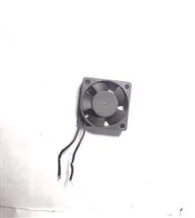 فن