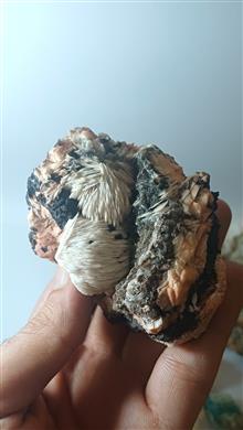 سنگ