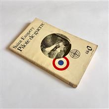 Pilote