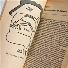 Language