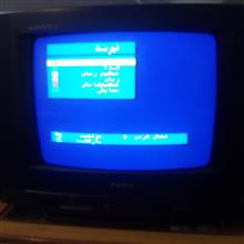 تلویزیون