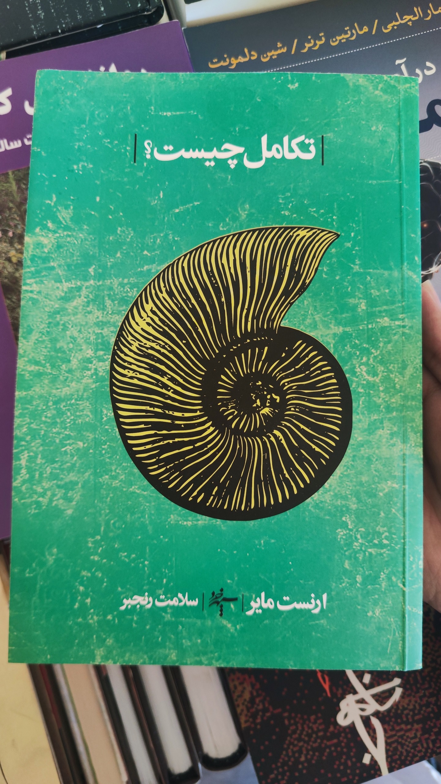 تکامل چیست