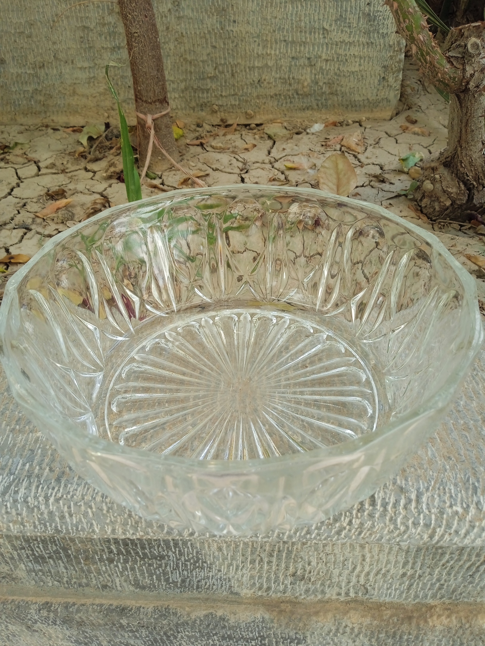 کاسه بزرگ آجیل خوری فرانسوی قطر20/6 سانتیمتر