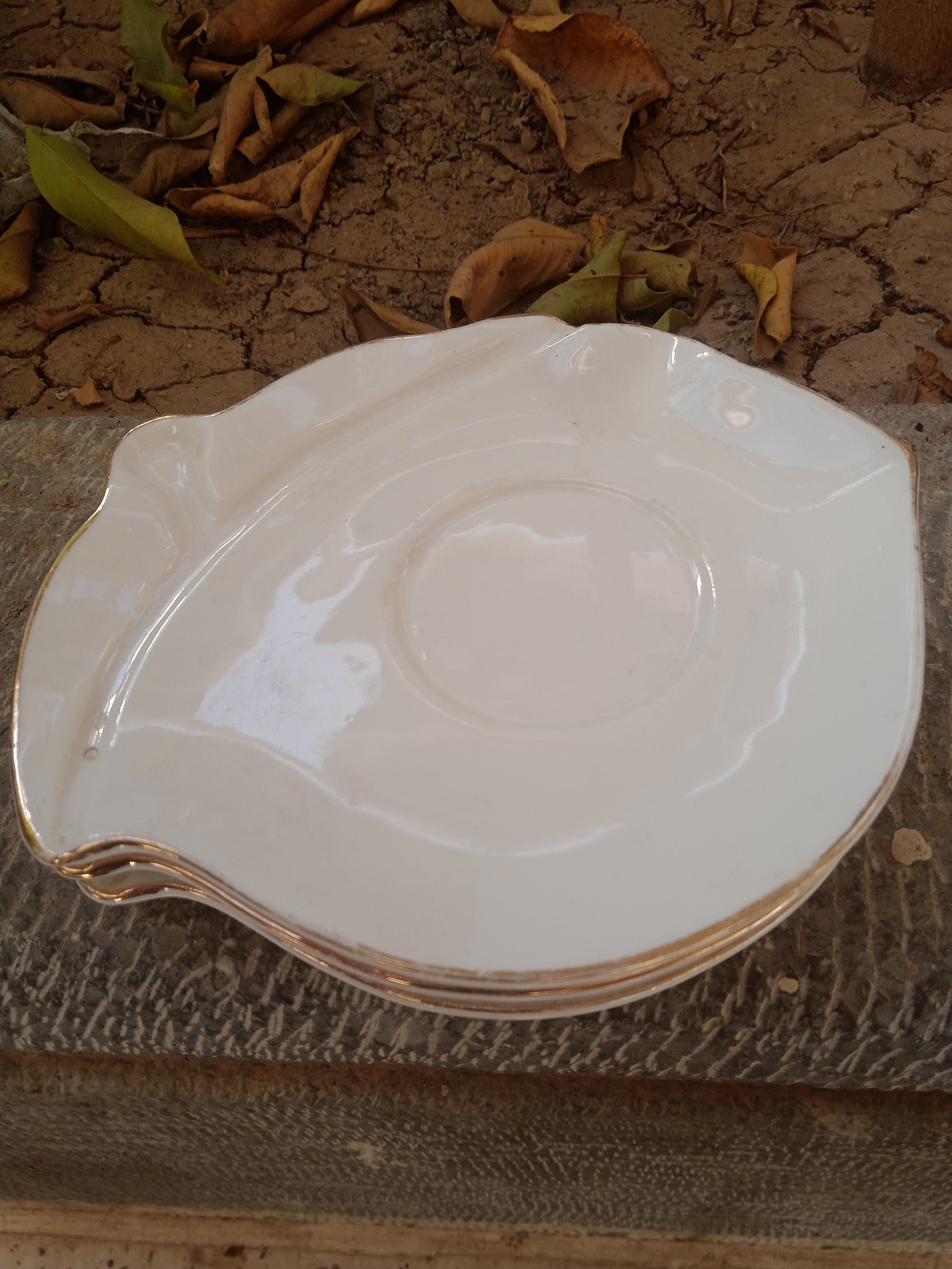 نعلبکی دیوارکوب لب طلایی فلورانس