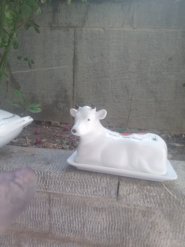 ظرف نگهداری کره یا پنیر ویا هرماده غذایی دیگر