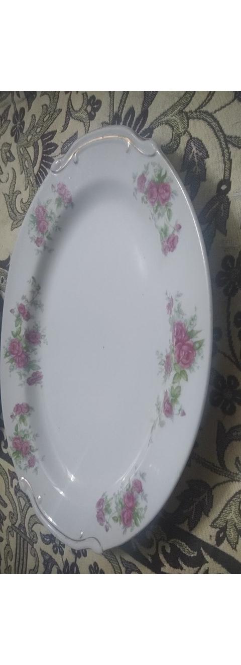 دیس بزرگ گل سرخی ژاپن دسته دار