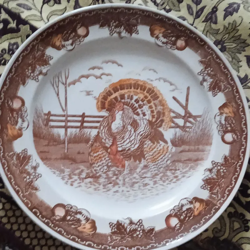 دیس قدیمی بوقلمونی ژاپن قطر 42سانت