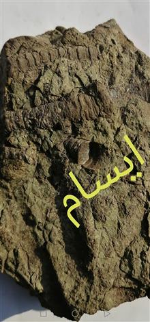 بستر