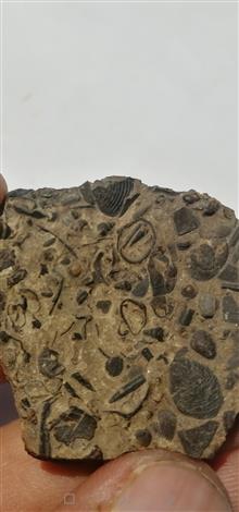 بستر