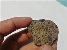 بستر