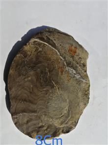 بزرگترین