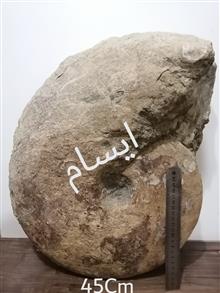 بزرگترین