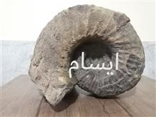 قطورترین