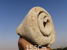 بزرگترین