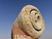 بزرگترین