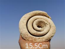 بزرگترین