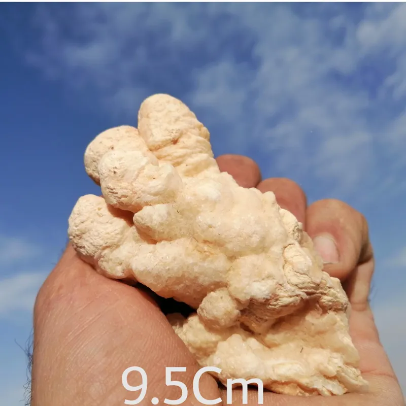 سنگ راف آرگونیت گل کلمی