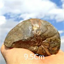اسلایس
