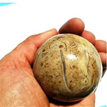 گوی