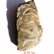 اسلایس