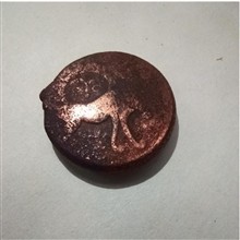 سکه