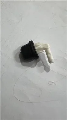 چشم