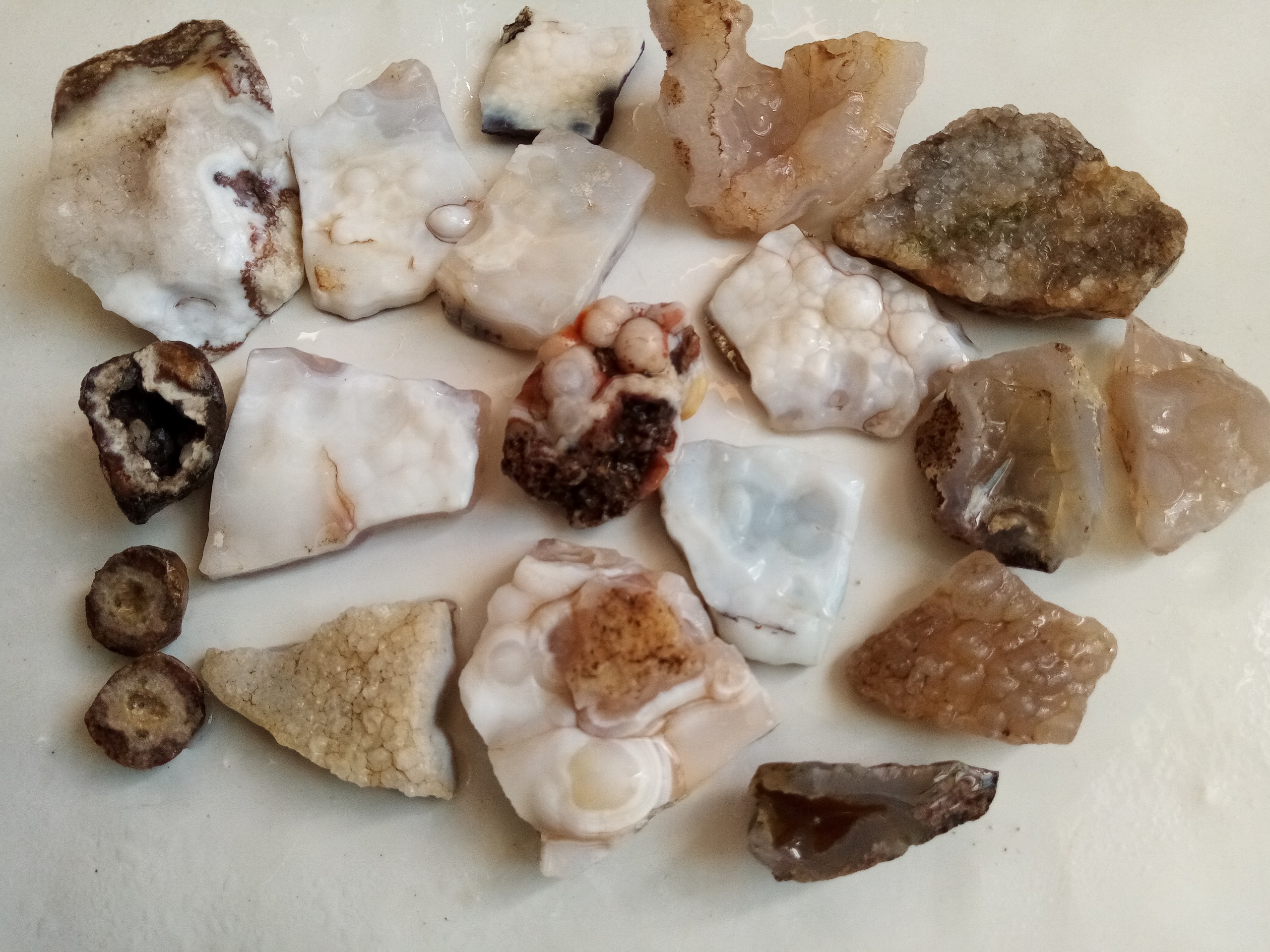 پک18عددی تاولی ژعود، کد114