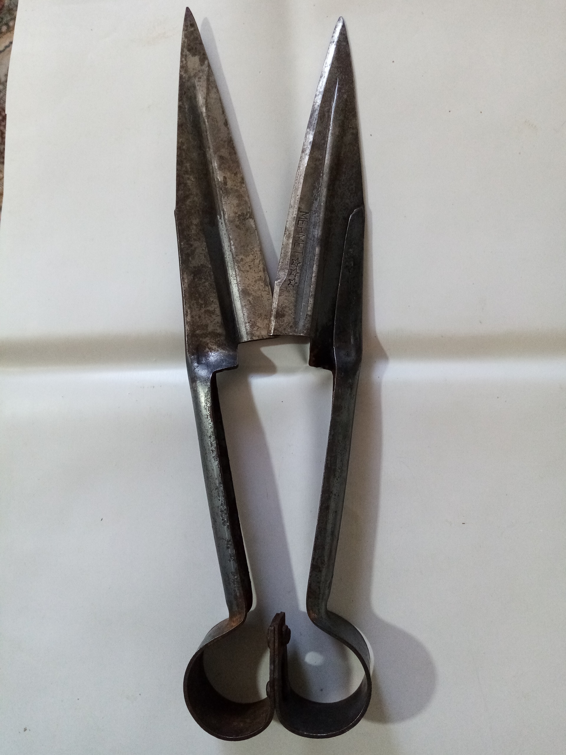 قیچی پشم زنی، MEHMET