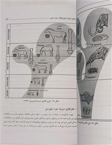 جغرافیای