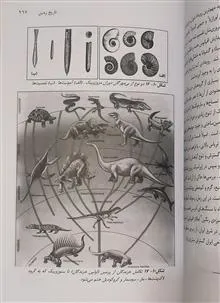 زمین