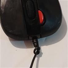 موس