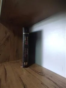 شاخه
