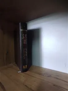 شاخه