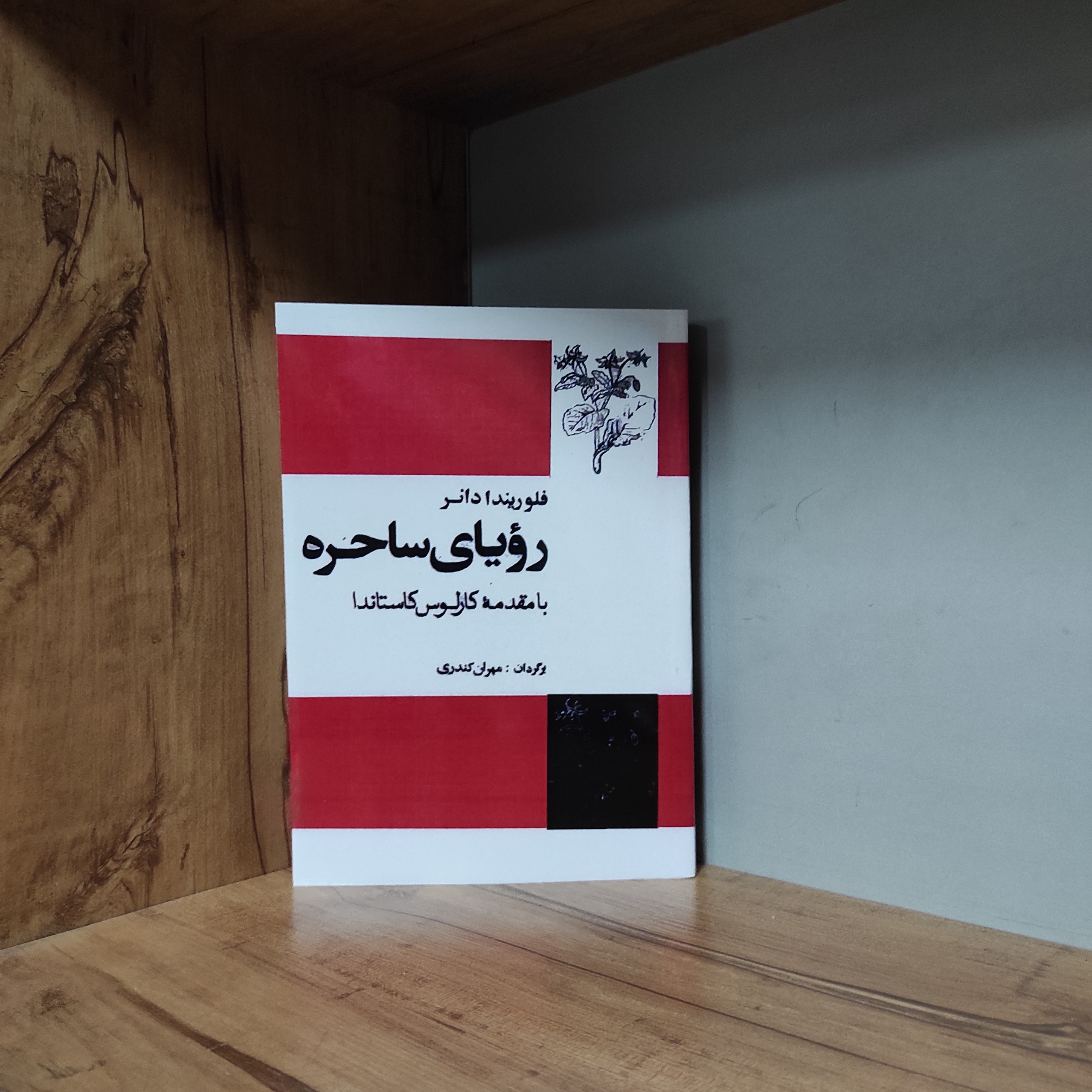 رویای ساحره کارلوس کاستاندا متن کامل